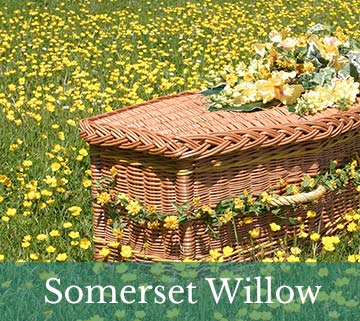Somerset Willow Company