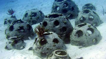 Coral reef balls