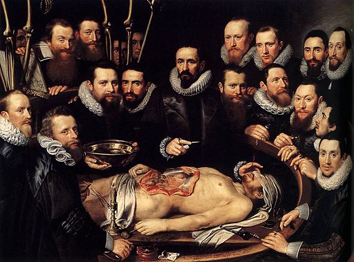 The Anatomy Lesson of Dr. Willem van der Meer