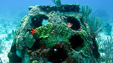 Eternal Reefs burial at sea reef