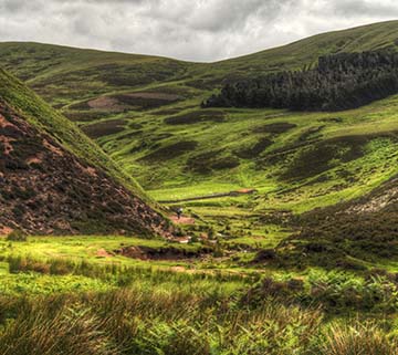 Rolling green hills