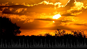 podcasts-3.1-SharingEndofLifeWishes-360x203