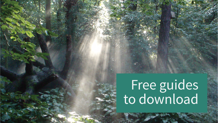 Free funeral planning guides to download