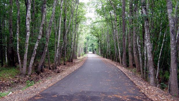 MP-walkway-MF-620×350