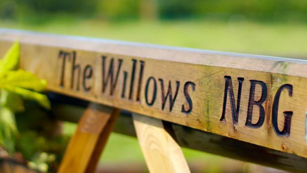 the willows natural burial grounds
