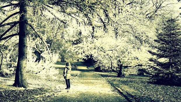 lone woman in forest