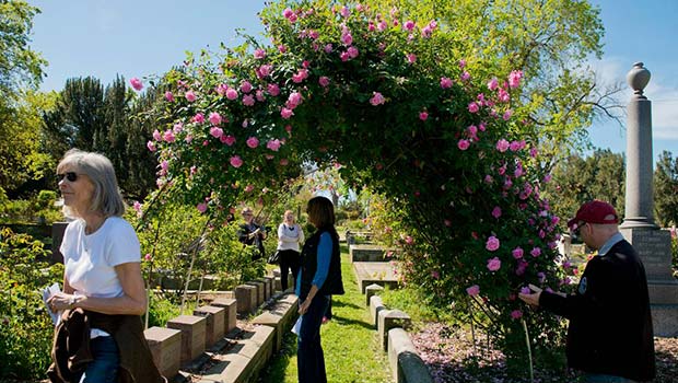 Blooms and tombs tours at Sacramento Old City Cemetery